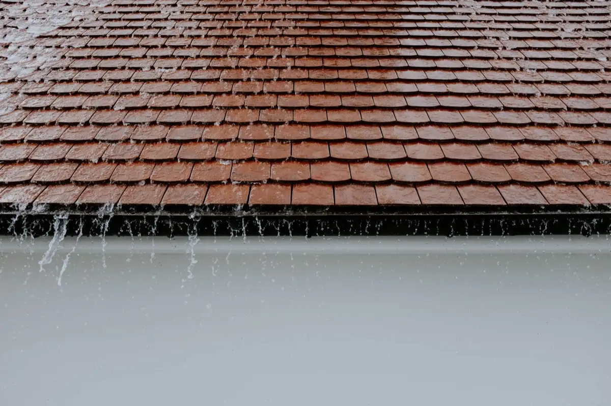 Gutters & Downspouts in Bellevue, WA