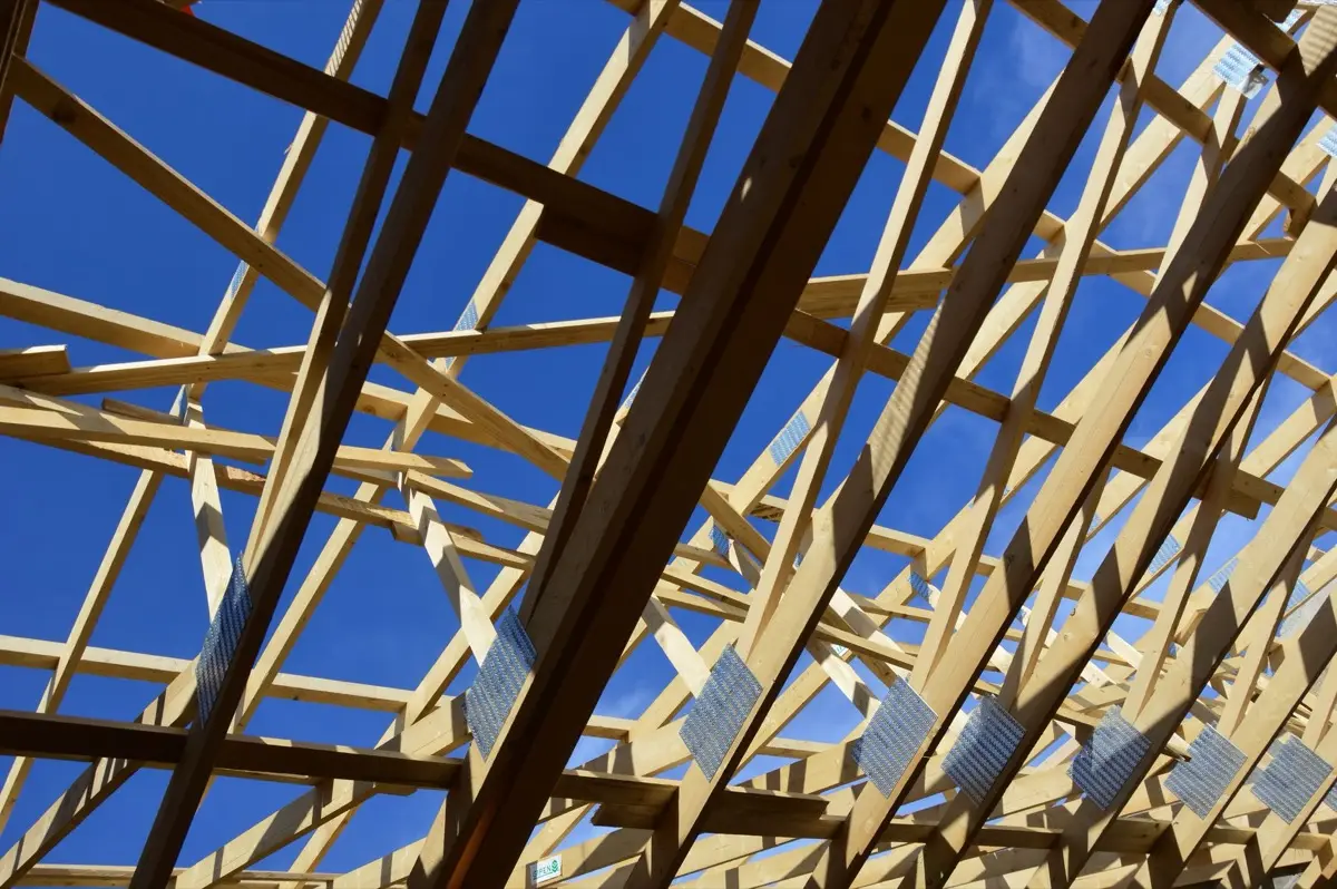 Roof Ventilation & Attic Moisture in Bellevue, WA